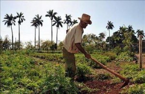 campesino