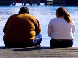 Descubren célula que podría ser usada para combatir la obesidad