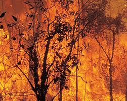 Incendio montuno