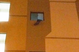 Ventana de Clínca