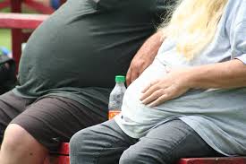 Descubren célula que podría ser usada para combatir la obesidad