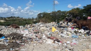Oposición y Gobierno unidos para rechazar vertedero en Haina 