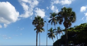  Día soleado y nubes aisladas para Santo Domingo 
