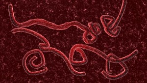 Liberia confirma segundo caso de ébola tras breve receso 