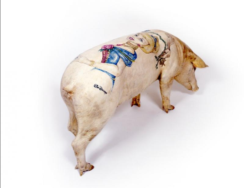 puerco 2