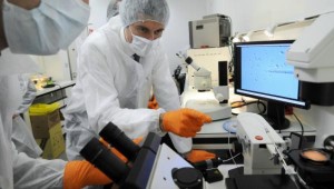 salud pública toma medidas por brote de ántrax