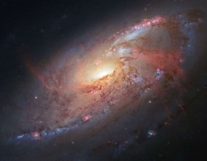 ¿Existen los extraterrestres?  Científicos muestran algunas “señales” que lo afirman 
