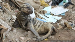 Hay quienes creen que vale más la pena invertir en formas de evitar que el plástico llegue al mar que en sacarlo de allí.