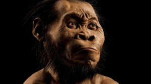 ¿Es esta especie el eslabón entre el hombre y el mono?