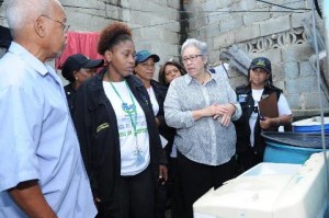 SP: Jornada nacional contra el dengue ha llegado a  casi medio millón de hogares