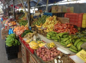 Siguen altos los precios de productos agrícolas 