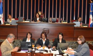 Senado aprueba reforma policial establece tope de 20 generales