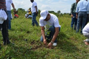 Hospital materno realiza jornada de siembra de árboles