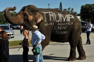 Un elefante le da la bienvenida a los participantes en un acto de campaña del precandidato republicano Donald Trump, el sábado en Sarasota, Florida. Steve Nesius, AP
