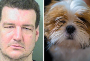 Hombre de Florida pasará un año en prisión por morder a un perro