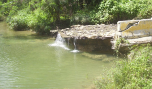  Foto: Fuente externa