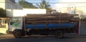Detenidos dos hombres en un camión cargado de madera habría sido robada