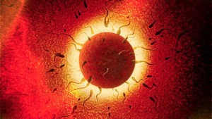 Uso del celular puede dañar la fertilidad masculina, revela estudio israelí