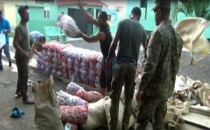 Ejército decomisa contrabando de ajo en la frontera