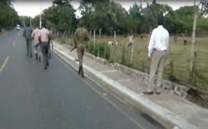 Recuperan animales robados en Dajabón 