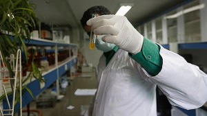 EE.UU.: Doce muertos por tomar analgésicos falsos con alto contenido de un narcótico sintético