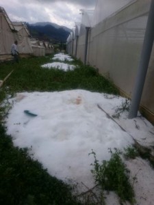 Reportan granizada y fuertes lluvias afectan Constanza