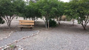 Comunitarios convierten vertedero en parque ecológico para Azua