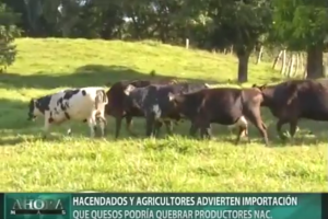 Advierten importación de quesos podría quebrar productores nacionales