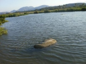 Buscan menor se lanzó a río Yaque a rescatar adolescente  
