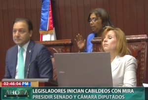  Legisladores inician cabildeos con mira presidir Senado y Cámara Diputados