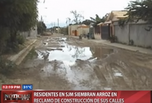 Residentes en SJM siembran arroz en las calles en reclamo de su reparación 