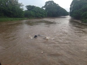 Conductor pierde la vida en accidente de tránsito en Mao