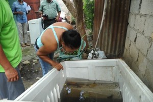 Salud Pública concluye jornada nacional para eliminar  criaderos de mosquitos