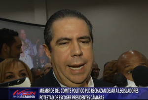 Miembros Comité Político PLD rechazan dejar a legisladores potestad de escoger presidentes cámaras
