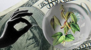 El dólar atrapado en una burbuja especulativa