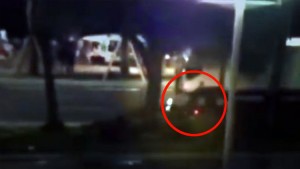 Motociclista se jugó la vida en el intento de detener al terrorista de Niza