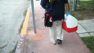 EE.UU analizará toda la sangre donada para detectar presencia del zika