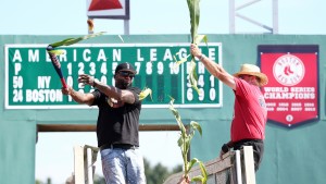 Realizan tributo a David Ortiz con un maizal
