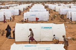 ACNUR reclama educación para niños que huyen de la guerra 