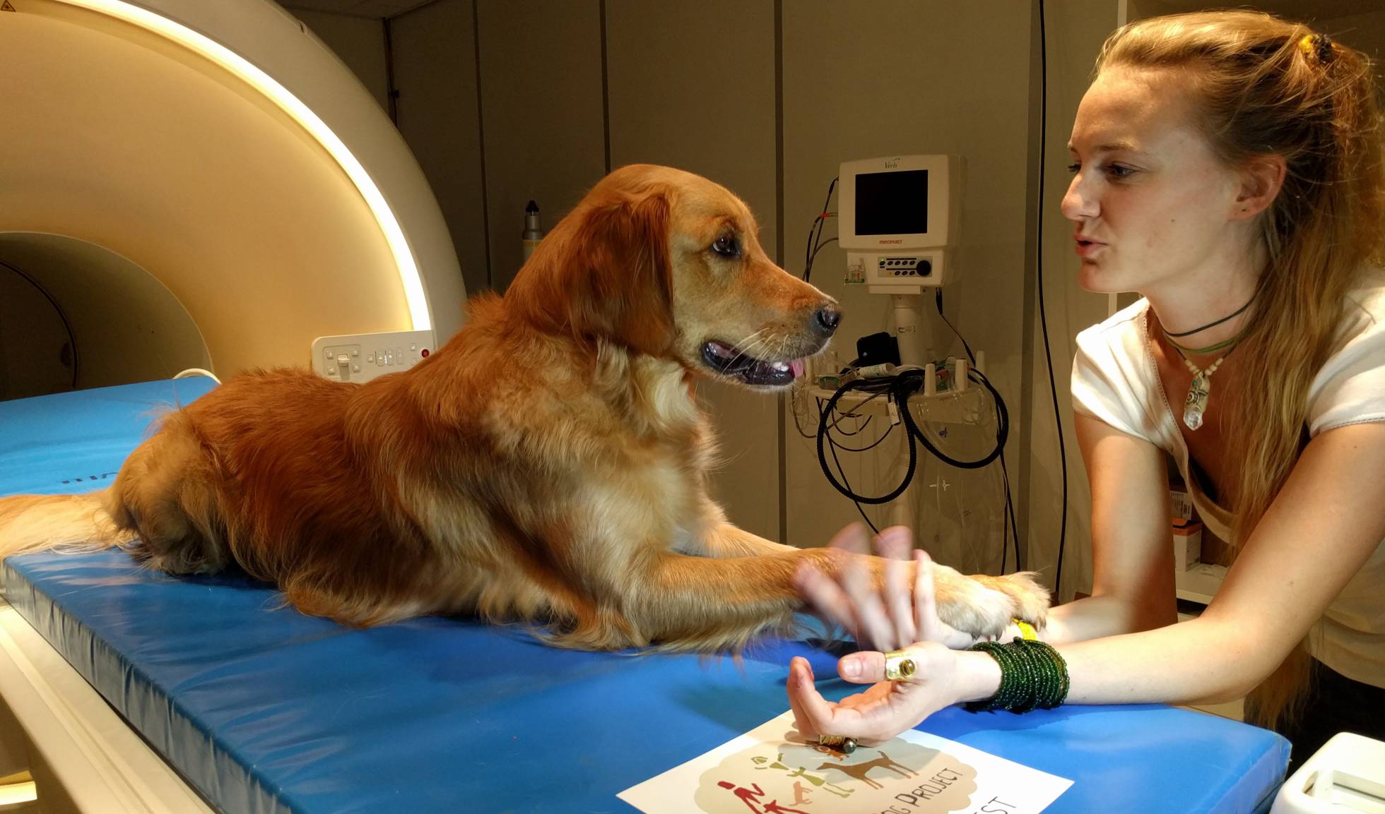 Los perros comprenden lo que decimos y cómo lo decimos