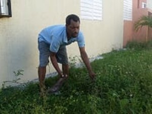 No vidente en Azua desyerba patios para sobrevivir; solicita ayuda para su sustento  