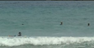 Localizan turista y dominicanos  desaparecidos en buen estado  