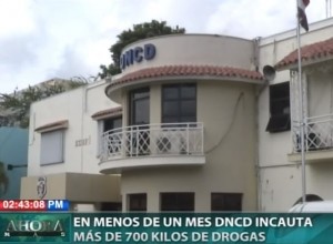 En menos de un mes DNCD incauta más de 700 kilos de drogas  
