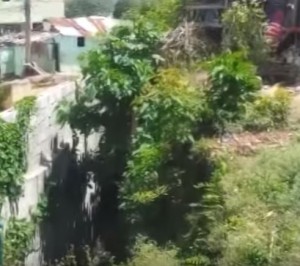 Residentes en Guachupita piden relleno de cañada