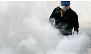 Estudio asegura tercio de la humanidad vive en zonas de riesgo propagación del zika