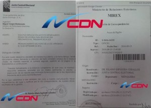 JCE depositó en Cancillería sobre retiro de visados a Roberto Rosario