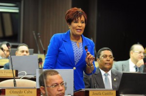 Acogen a Josefa Castillo como miembro del CNM