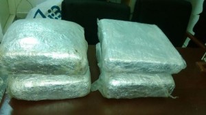 Autoridades ocupan más de 300 libras de presunta marihuana  en operativos