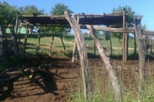 Dajabón: ganaderos denuncian cuatrerismo tras cambio de coroneles 