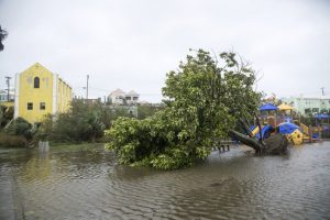 Bermuda quiere recuperarse pronto de los daños por Nicole